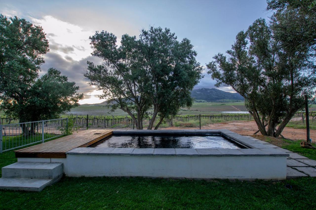 Apartament Denneboom Vineyards And Wildlife Paarl Zewnętrze zdjęcie